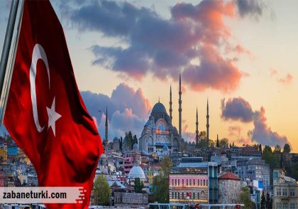 تاریخچه زبان ترکی استانبولی، جایگاه زبان ترکی در یونسکو