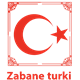 درآمد مدرس زبان ترکی استانبولی (حوزه های اشتغال برای کسب درآمد)