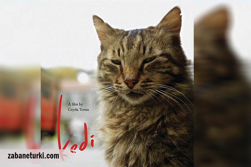 Kedi- فیلم آموزش مکالمه ترکی استانبولی