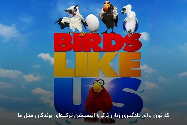 انیمیشن پرندگان مثل ما؛ بهترین کارتون برای تقویت زبان ترکیه‌ای