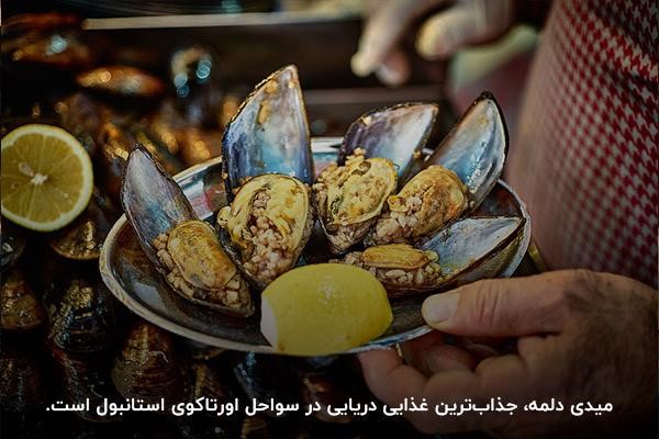 غذای دریایی میدی دلمه؛ یکی از معروف‌ترین غذاهای ترکیه بین گردشگران