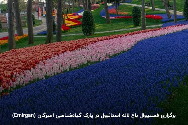 برگزاری فستیوال باغ لاله استانبول در پارک‌ گیاه‌شناسی امیرگان (Emirgan)