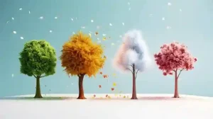 فصل ها به ترکی استانبولی